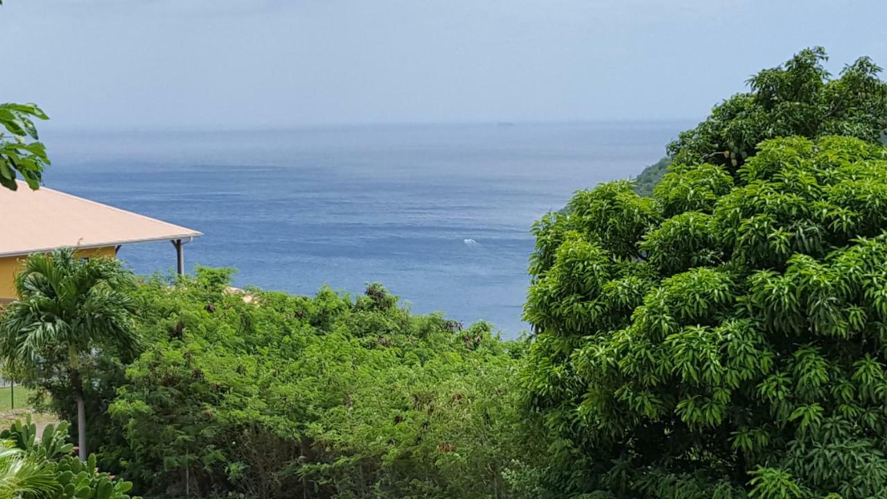 La Yole Des Caraibes Appartement Les Anses-d'Arlets Buitenkant foto
