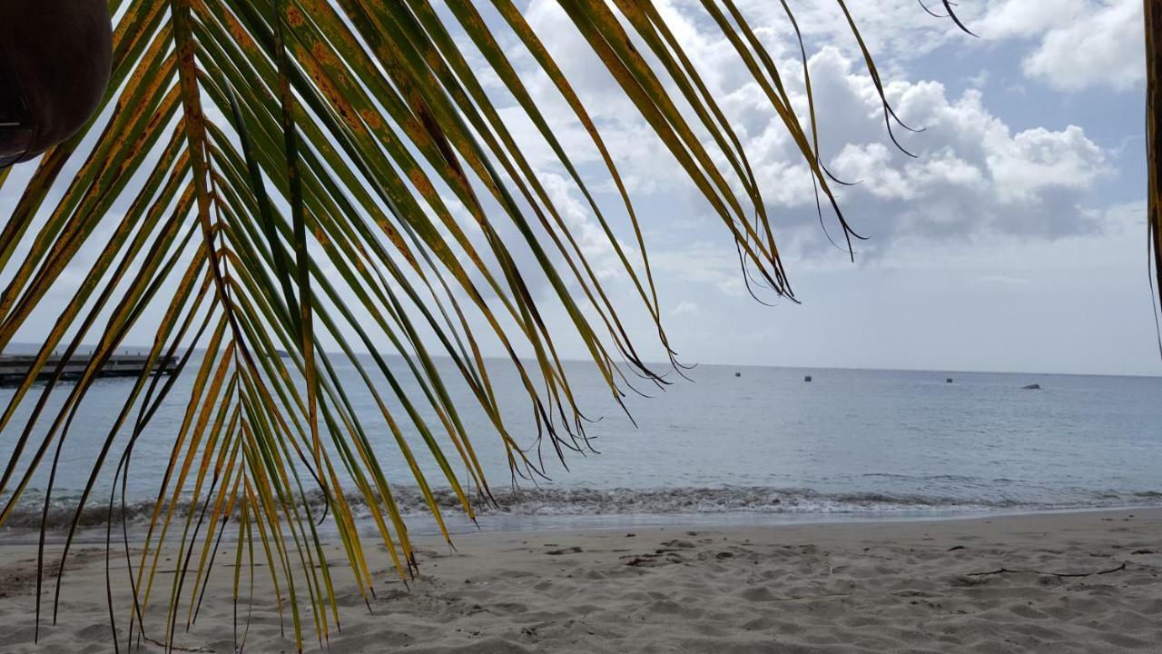 La Yole Des Caraibes Appartement Les Anses-d'Arlets Buitenkant foto